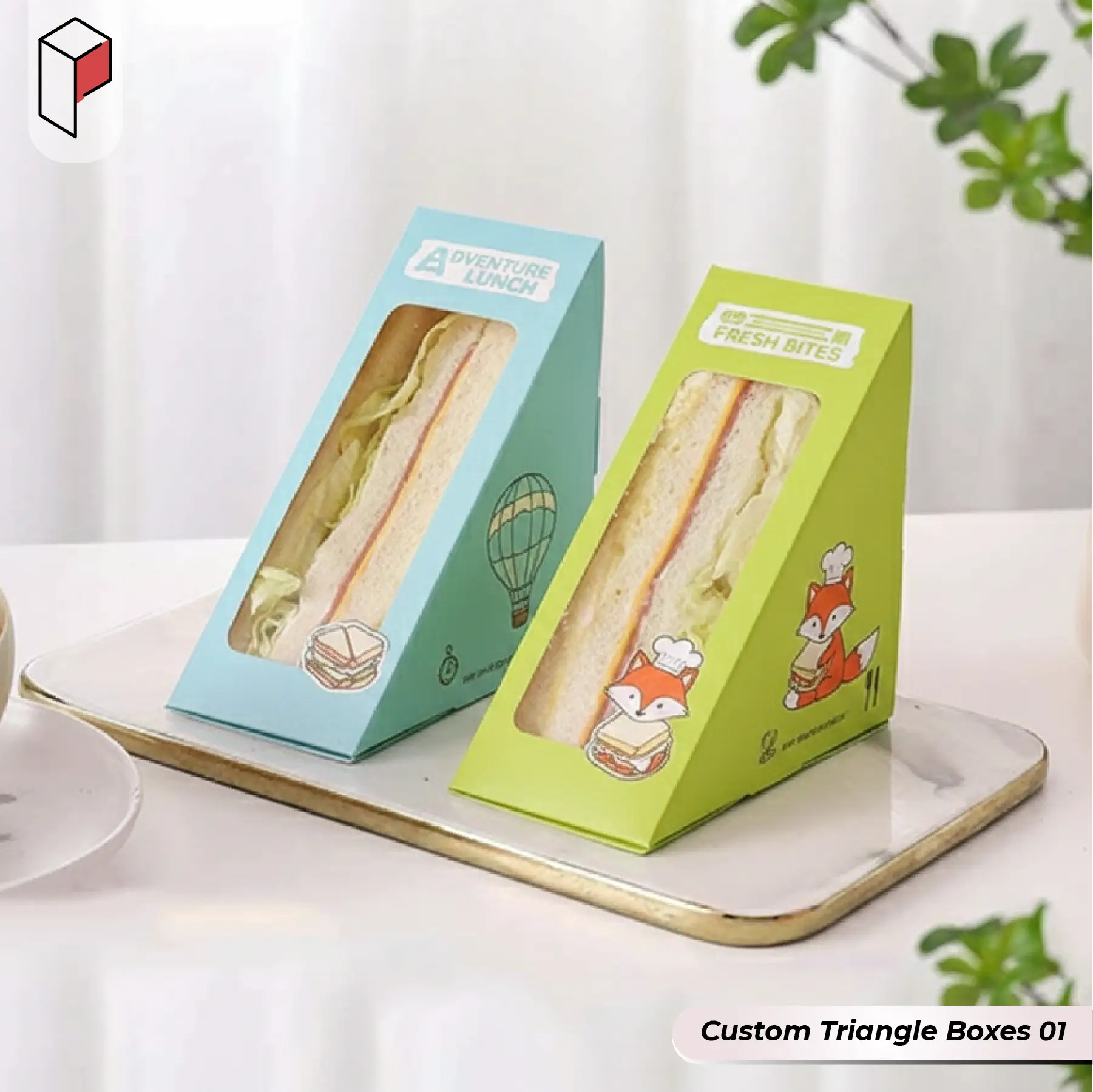 Custom Triangle Boxes (1)